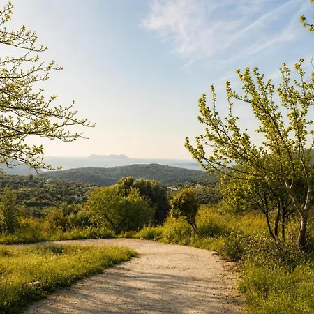 Eleftherion Comfort Living Lefkada Ξενοδοχείο με διαμερίσματα 4*