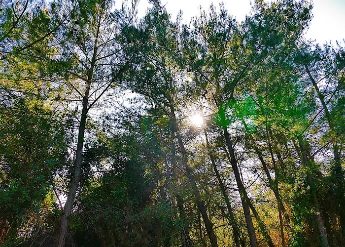 Ξενοδοχείο με διαμερίσματα Eleftherion Comfort Living Lefkada Φτερνό