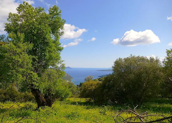 Eleftherion Comfort Living Lefkada Ξενοδοχείο με διαμερίσματα