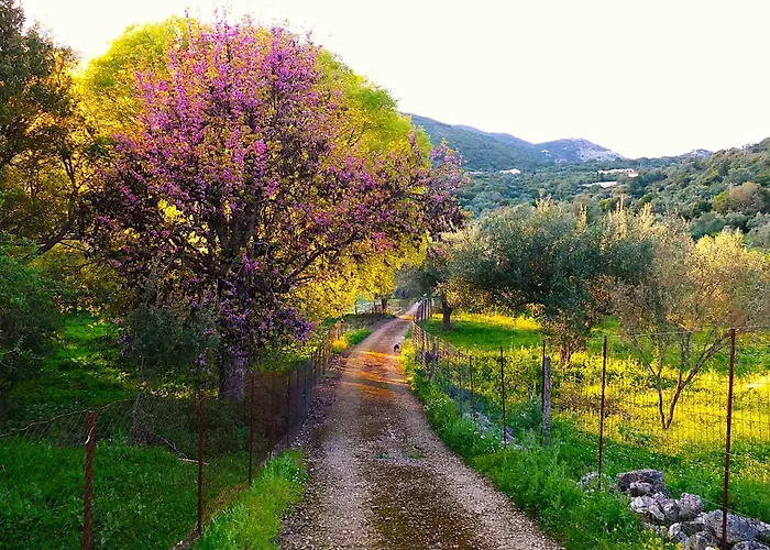 Eleftherion Comfort Living Lefkada Ξενοδοχείο με διαμερίσματα